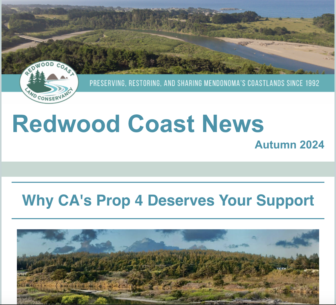 Autumn 2024 newsletter thumbnail - click to read